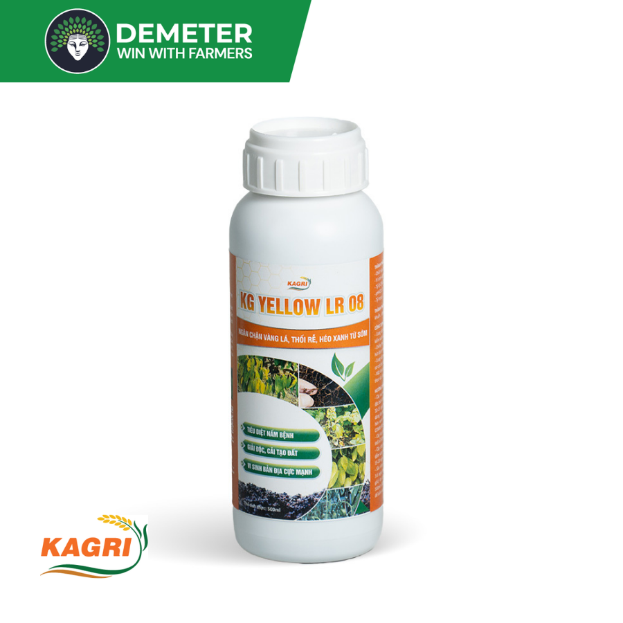 Image Product